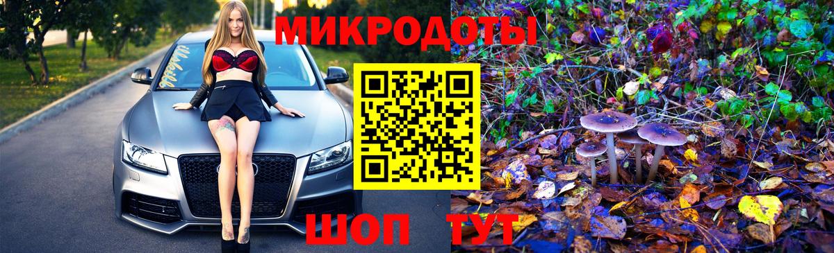 Липецк  Псилоцибиновые грибы прущие грибы  Вход с VPN 